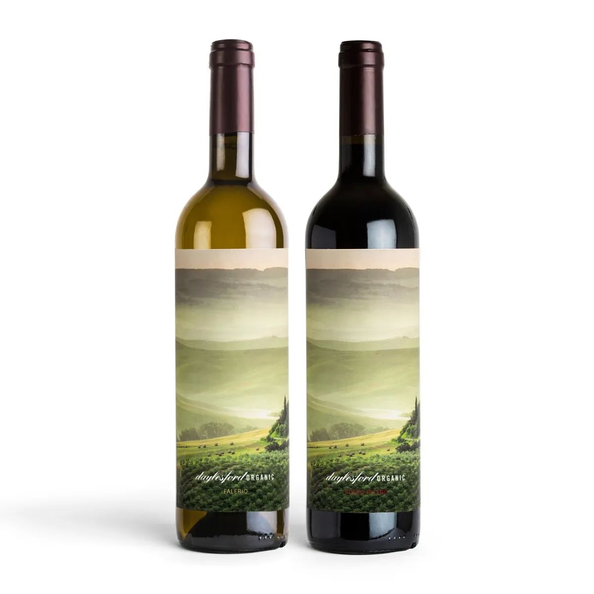 Falerio & Rosso Wine Duo 