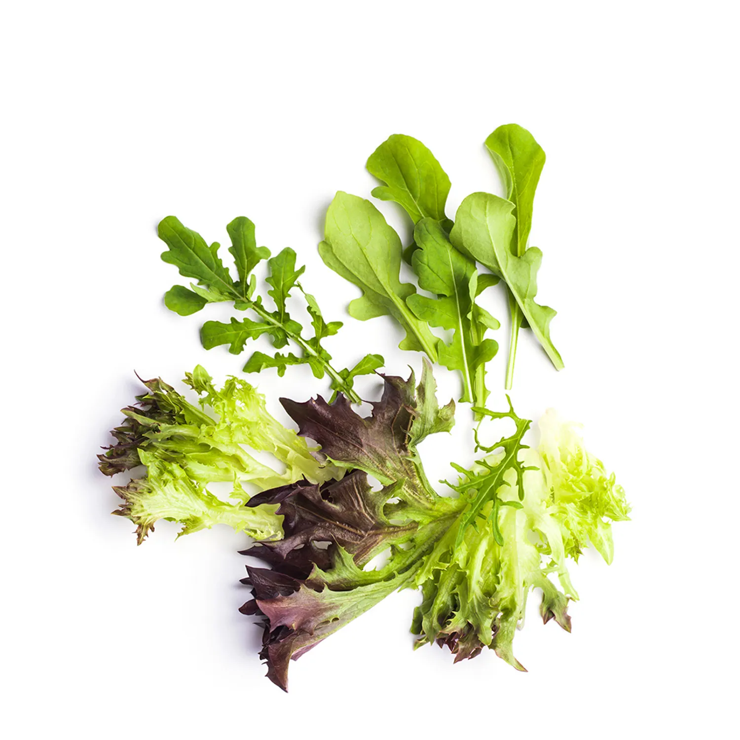 Market Garden Mixed Salad Leaves 