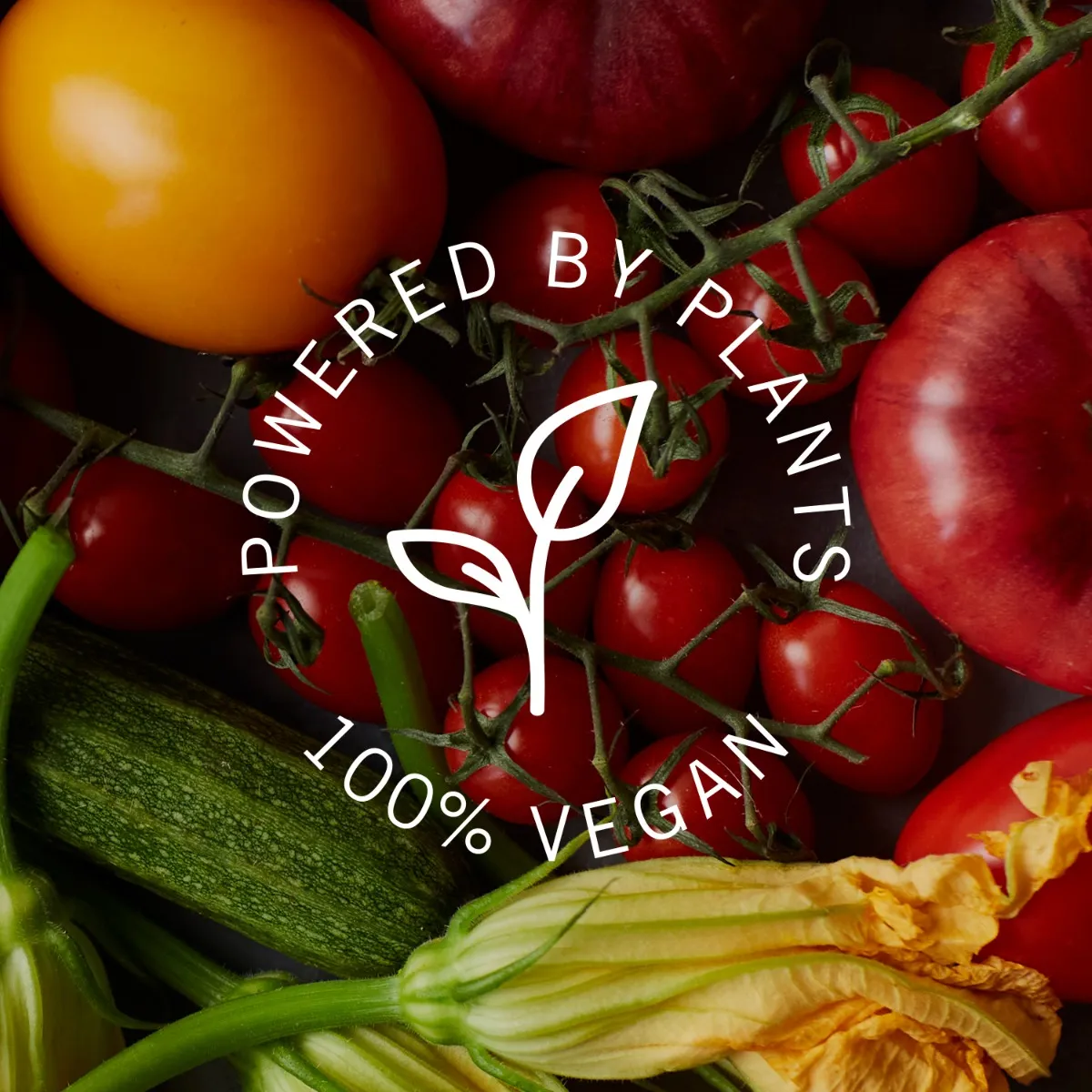 208-organic-minestrone-soup–1.webp