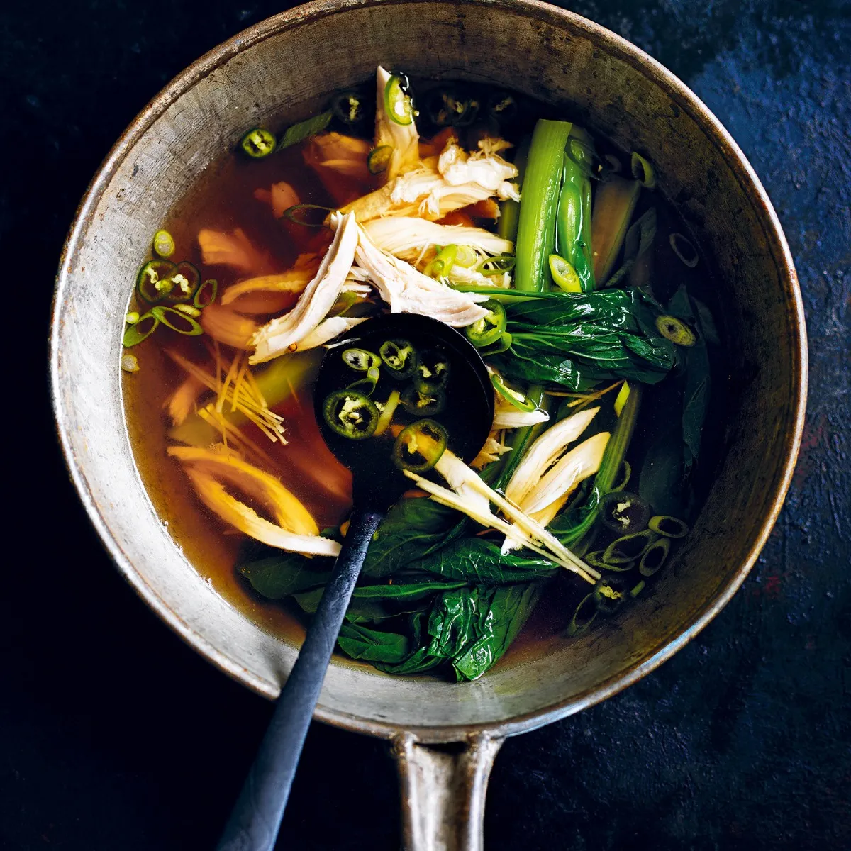 Feel-good Chicken Soup â A Guest Recipe From Donna Hay 