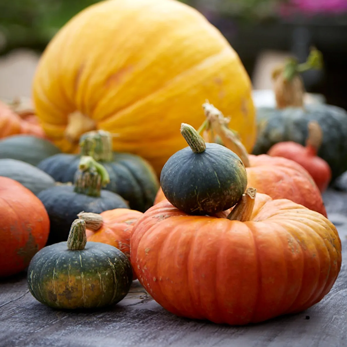 Butternut Squash, Honey & Sage Soup 