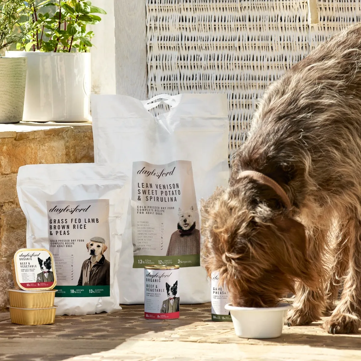 418-pet-food-sample-selection–1.webp