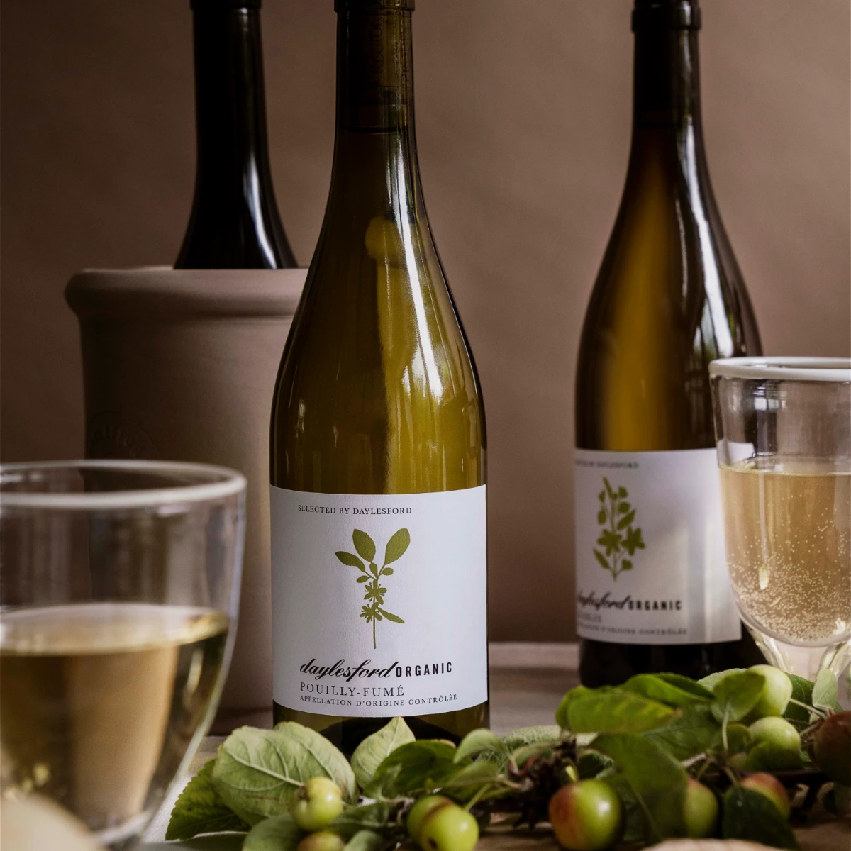 Organic Pouilly FumÃ©