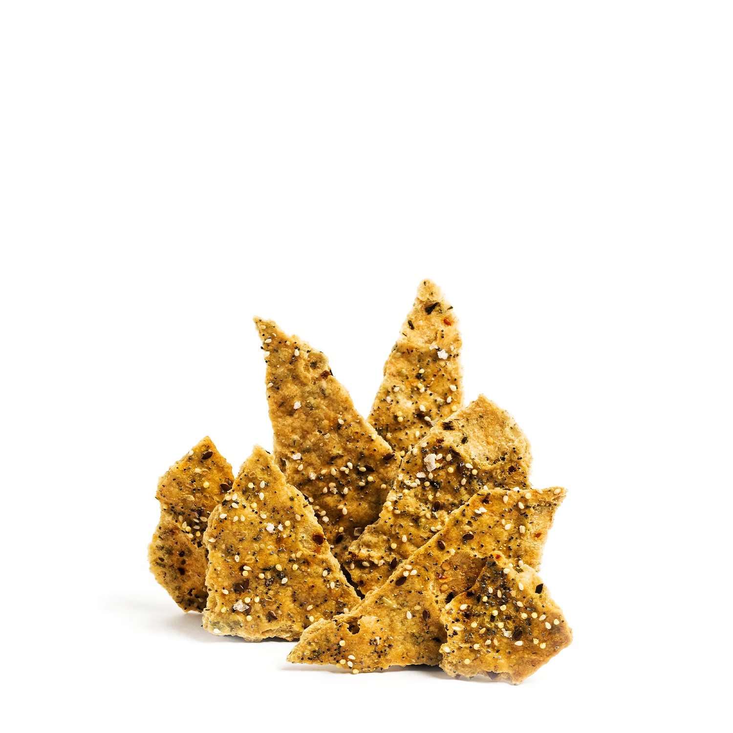 Toasted Seed & Chilli Olive Oil Crackers 