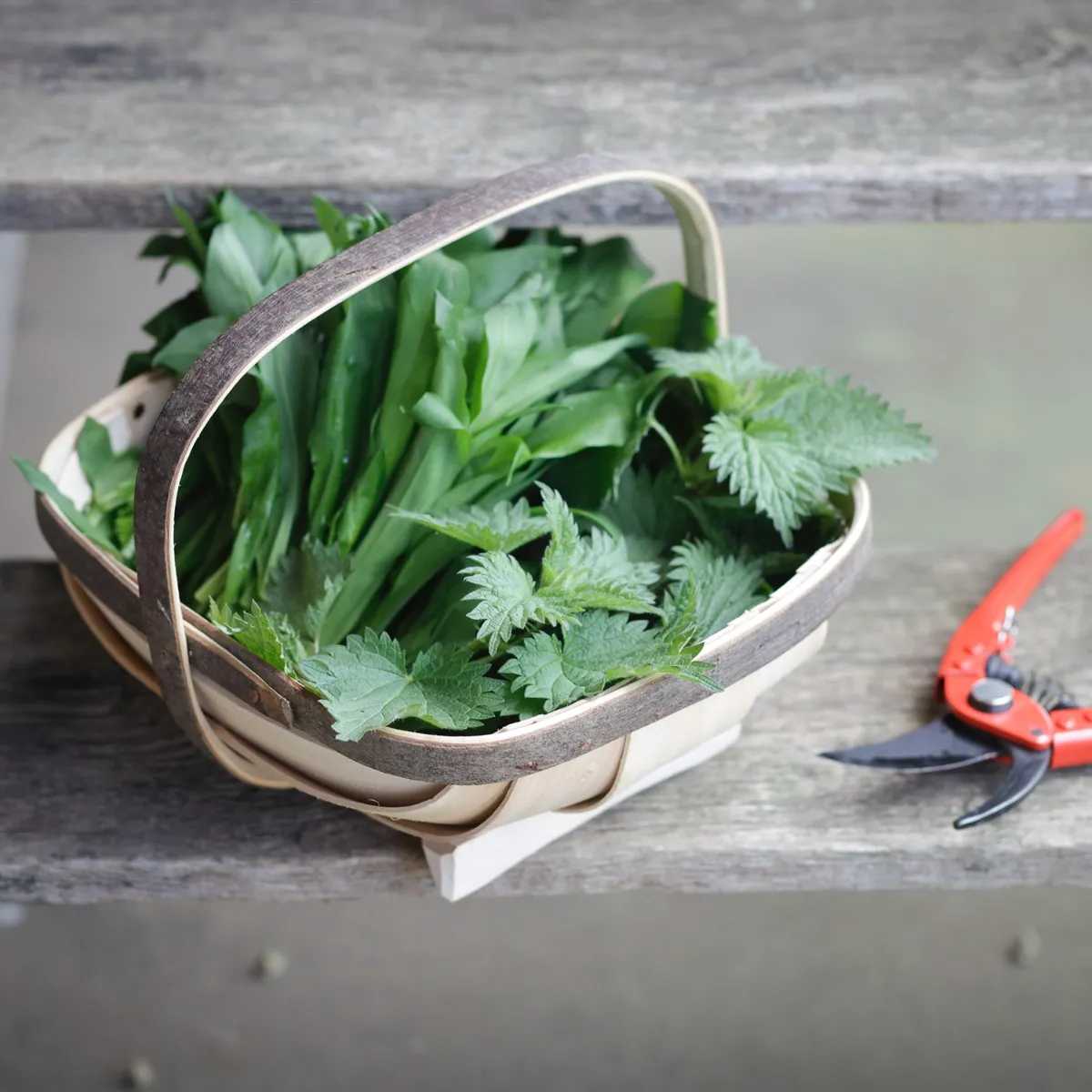 683-foraged-nettle-gnocchi-with-wild-garlic-pesto–1.webp