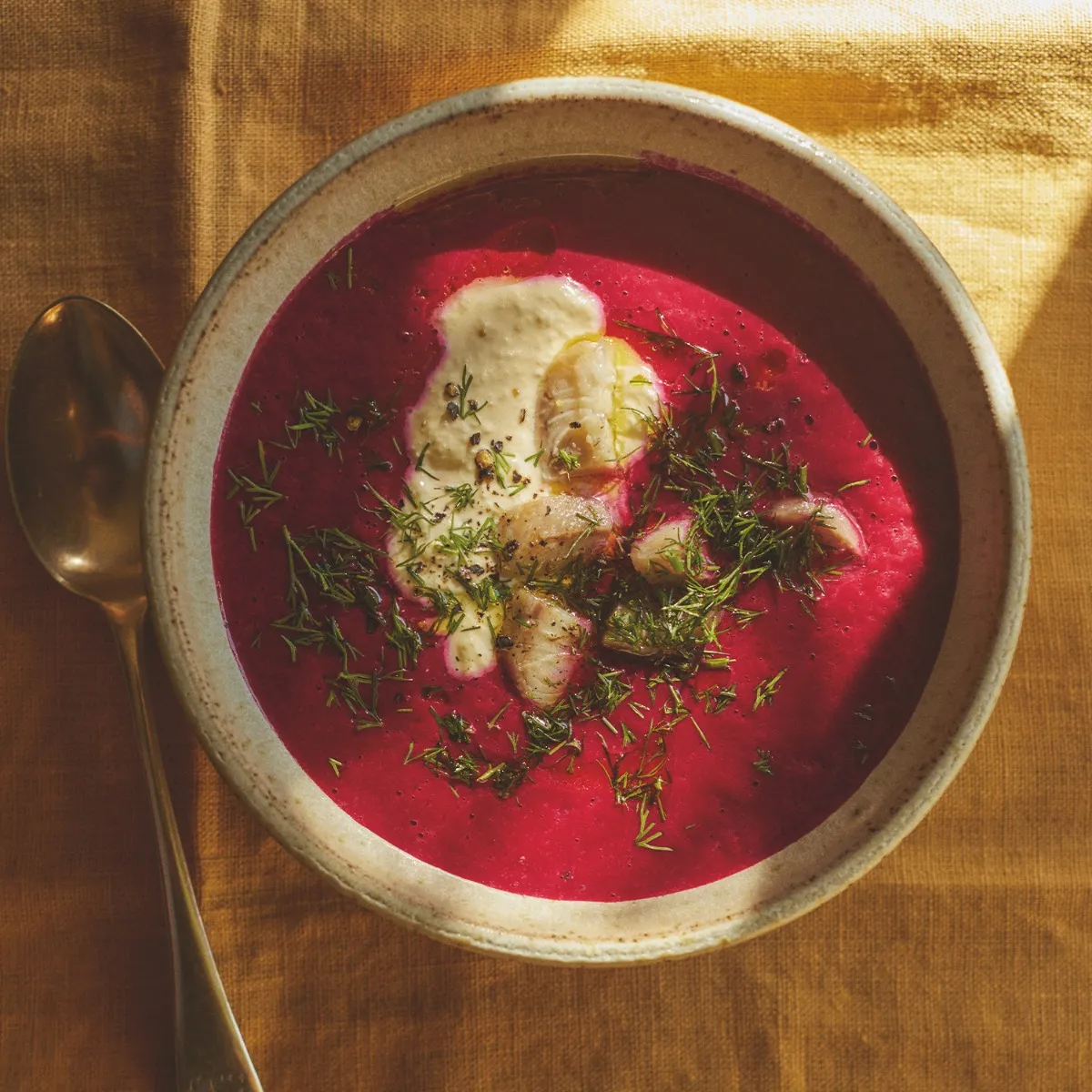 Beetroot Soup - A Guest Recipe From Julius Roberts 