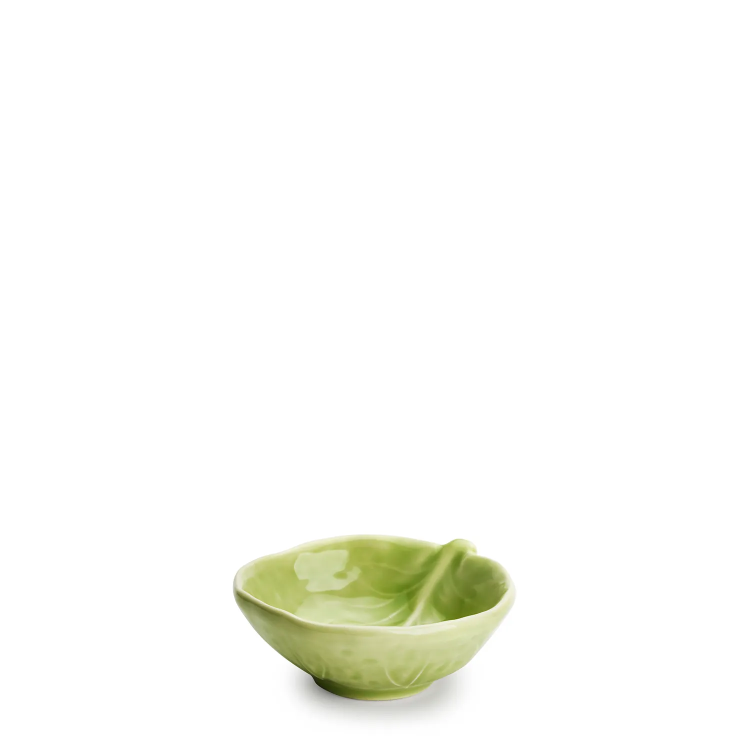 Cabbage Salt Bowl Fennel 