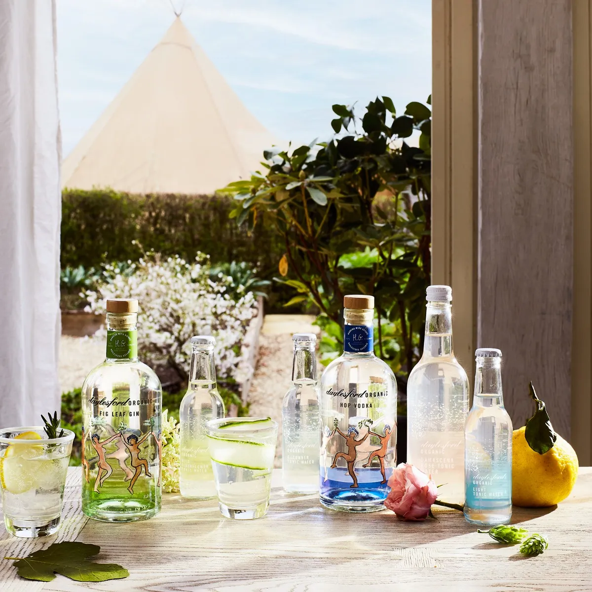 87-organic-fig-leaf-gin–1.webp