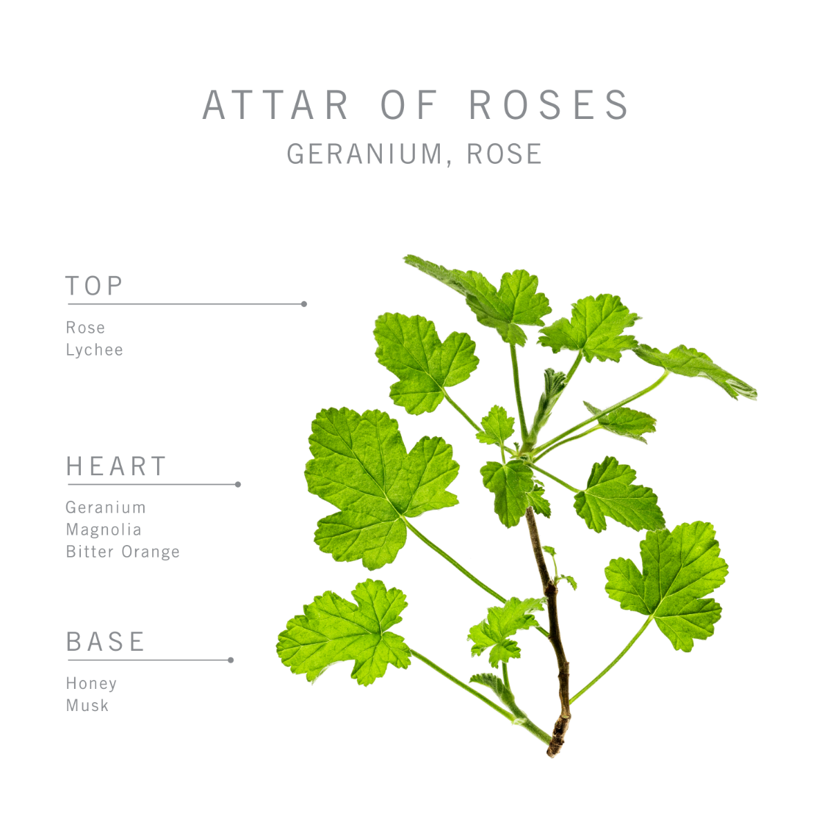966-bamford-attar-of-roses-geranium-candle–1.webp